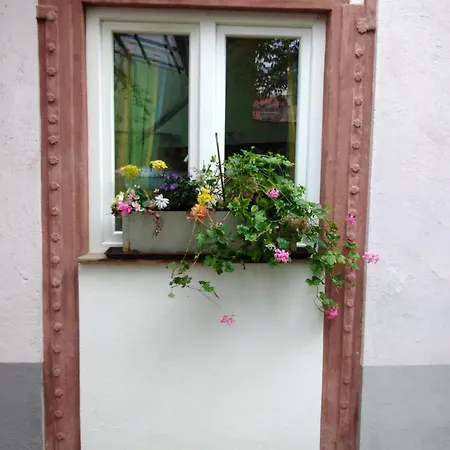 Appertment Im Garten Apartman *