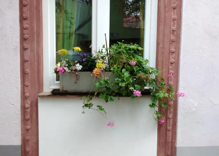 Appertment Im Garten Apartamento *